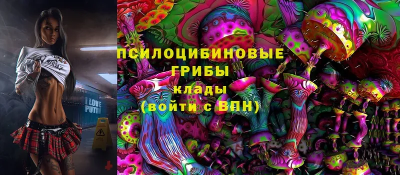 Псилоцибиновые грибы Psilocybe  купить наркотик  гидра вход  Кизляр 